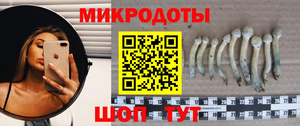 Кизляр  Псилоцибиновые грибы мухоморы  Вход с VPN 
