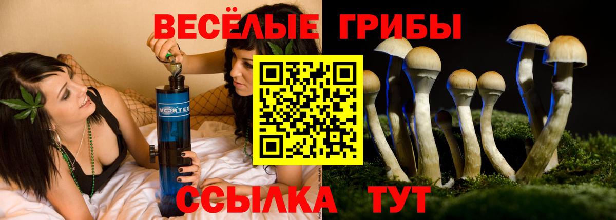 Галлюциногенные грибы Magic Shrooms Кизляр